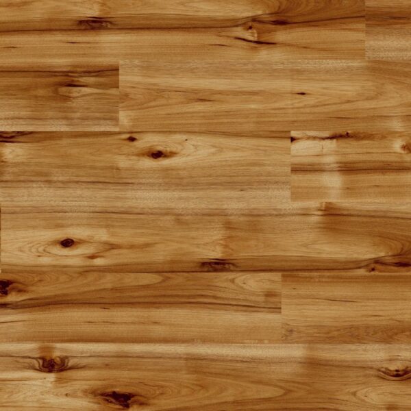 Kaindl Bravo Hickory - Easy Touch 8mm High Gloss Laminate Flooring - Image 2